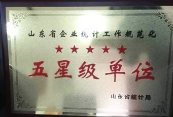 聯(lián)興集團(tuán)、開(kāi)發(fā)公司再次雙獲山東省統(tǒng)計(jì)信用“五星級(jí)單位“